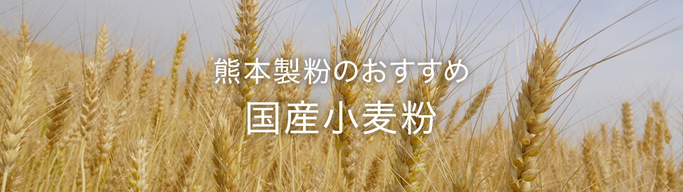 熊本製粉のおすすめ 国産小麦粉